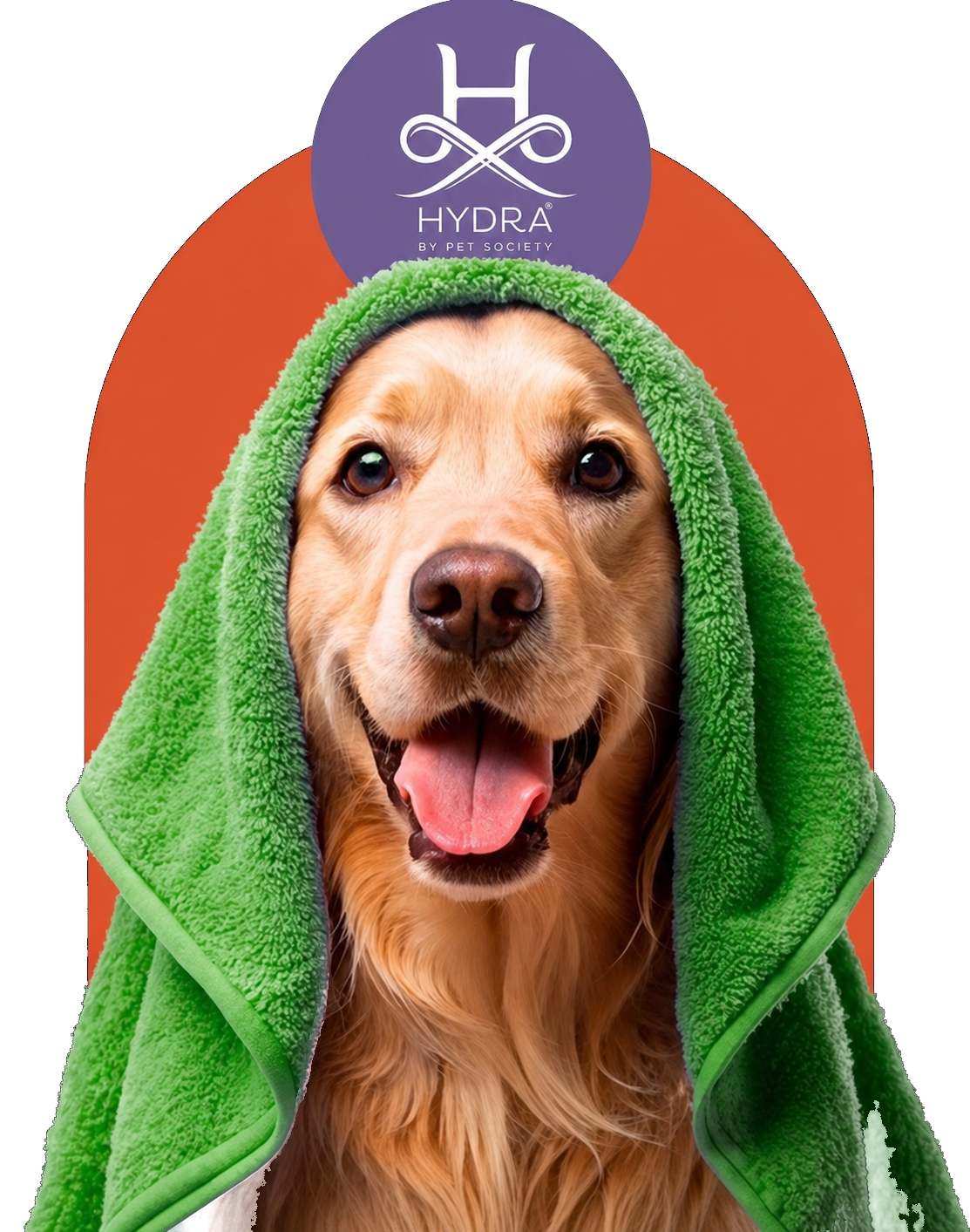 Hydra by Pet Society no banho e tosa da Rede Pop Pet Center Anicuns